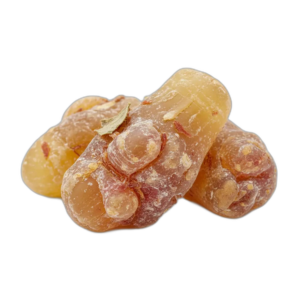Boswellia serrata — bekannt für seine beruhigenden Eigenschaften.